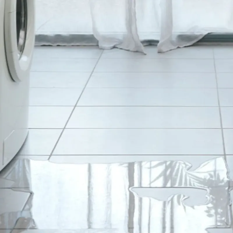 Appliance Leak Cleanup in Palos Verdes Estates, CA