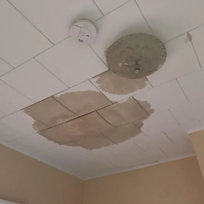 Ceiling Water Damage Repair in Palos Verdes Estates, CA